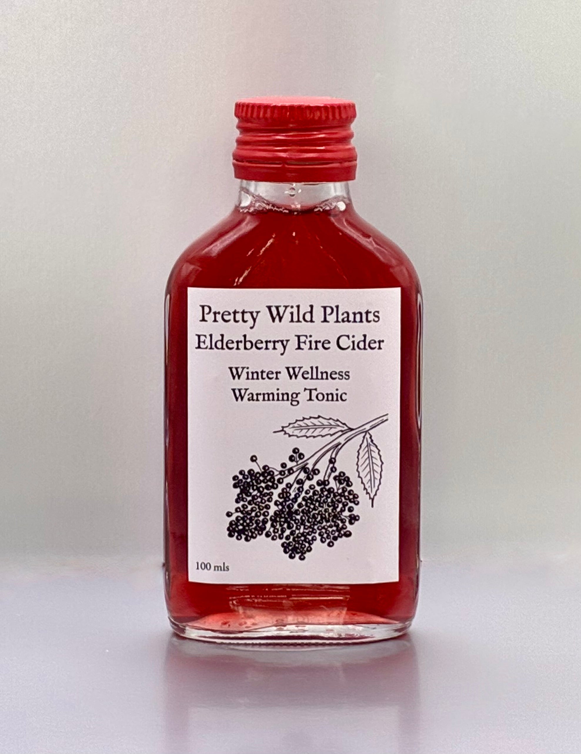 Elderberry Fire Cider.  Warming Winter Wellness Tonic