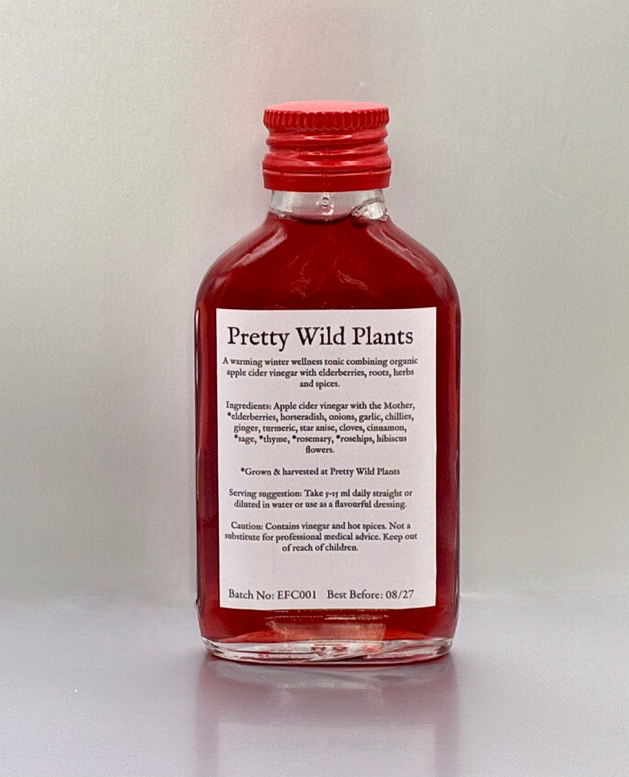 Elderberry Fire Cider.  Warming Winter Wellness Tonic