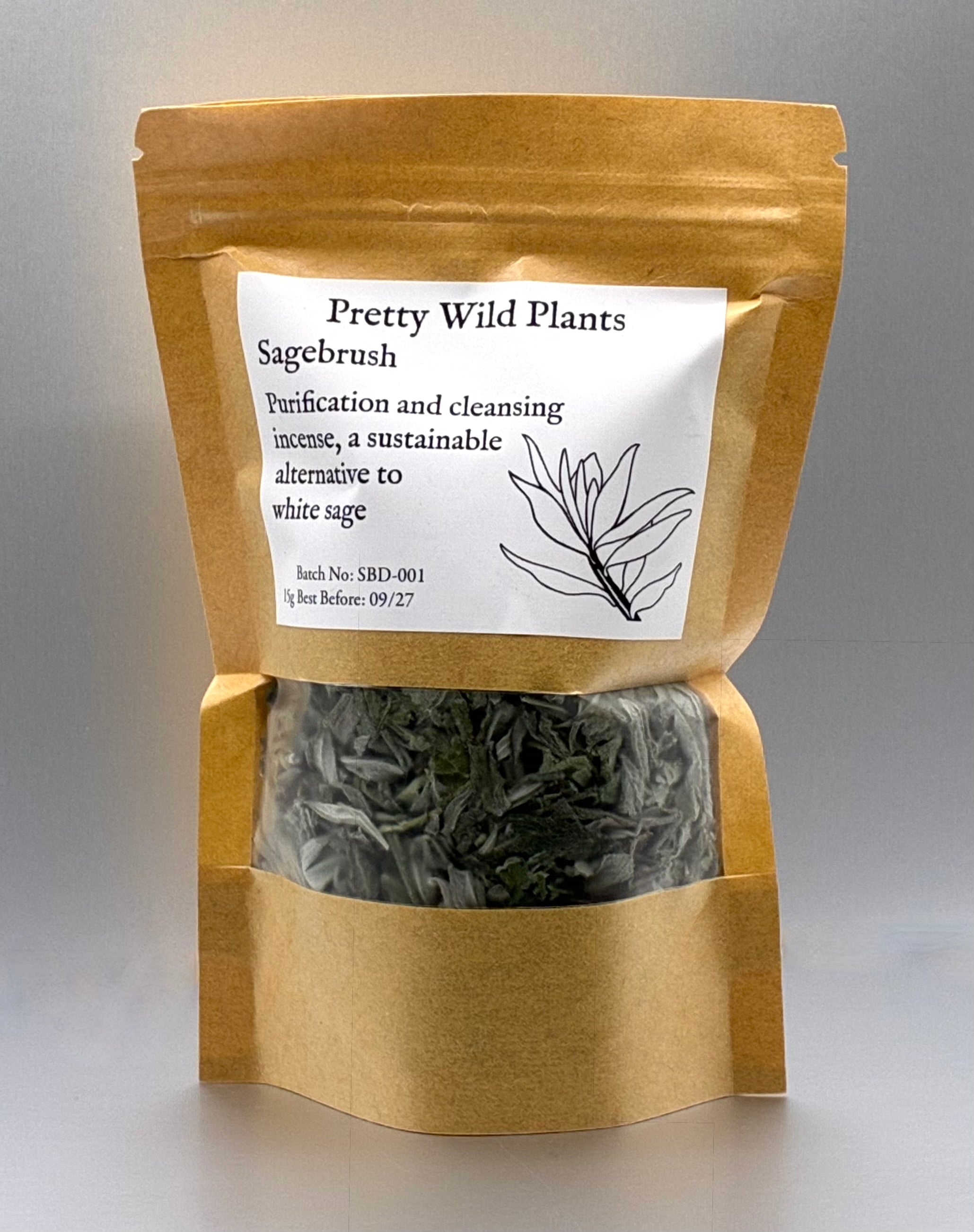 Sagebrush (Artemisia tridentata)   White Sage Alternative for Cleansing & Purification