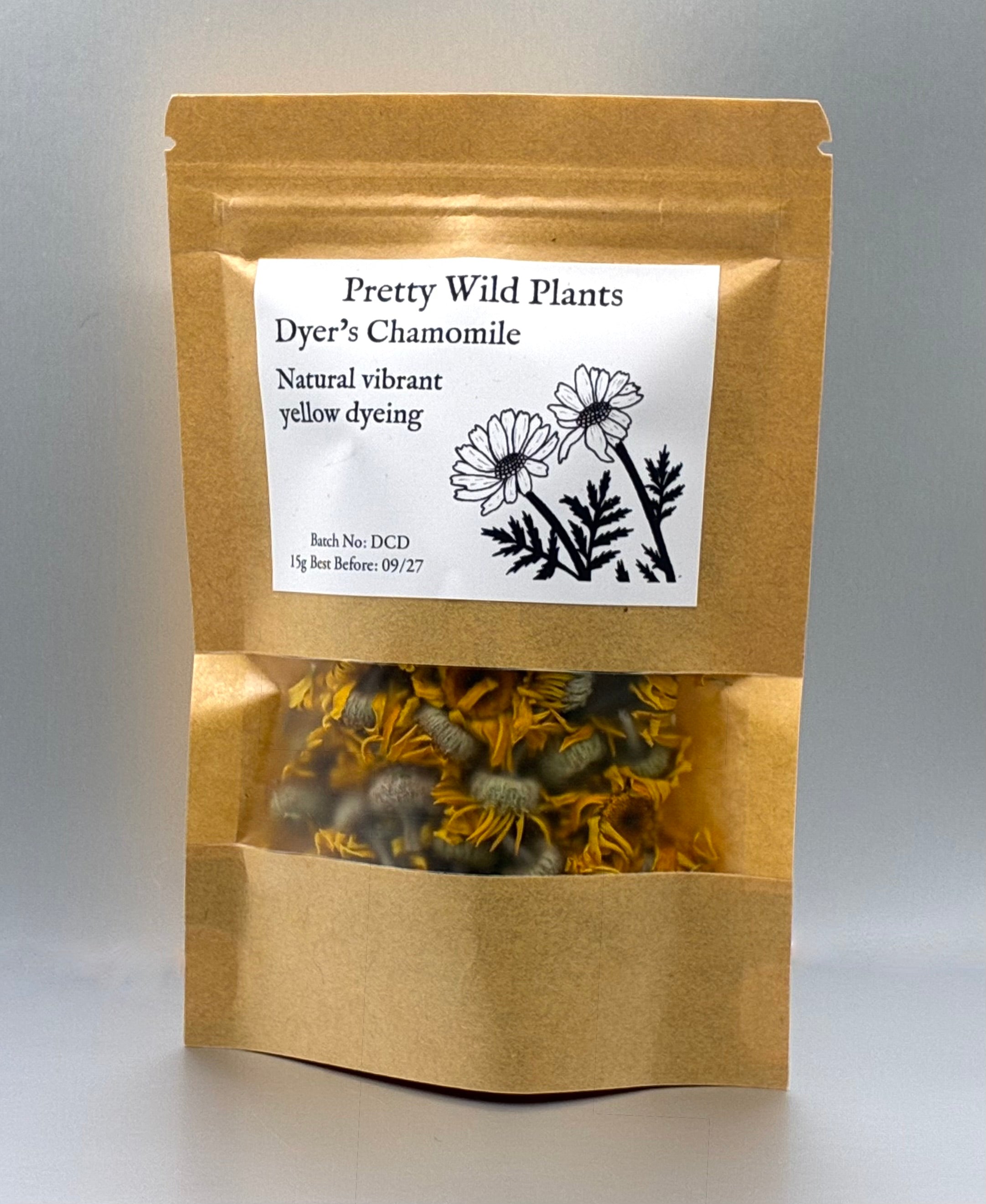 Dyer’s Chamomile (Anthemis tinctoria) – Golden Dye & Sun Herb