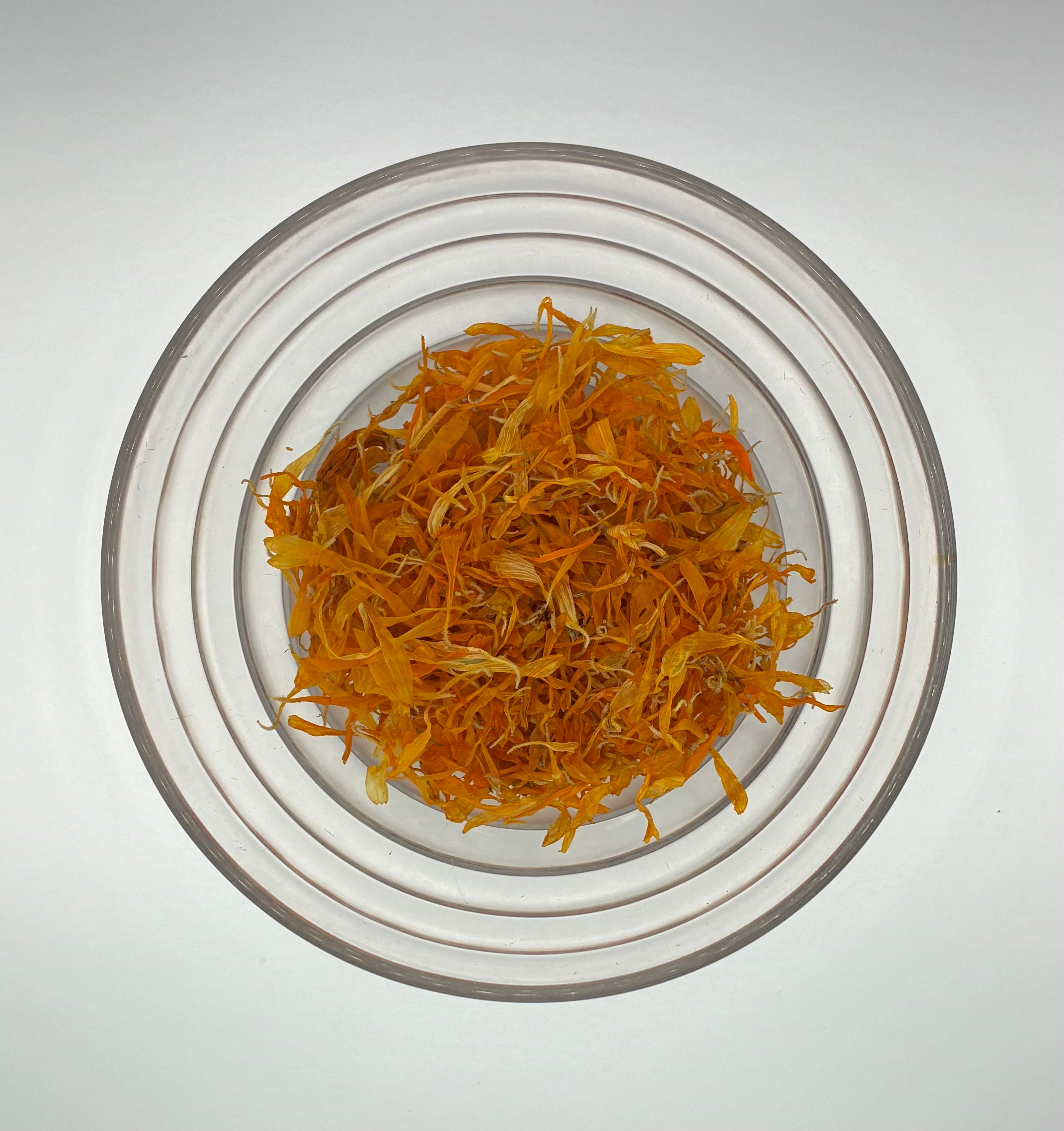 Calendula (Calendula officinalis) Skin Healing & Golden Dye Herb