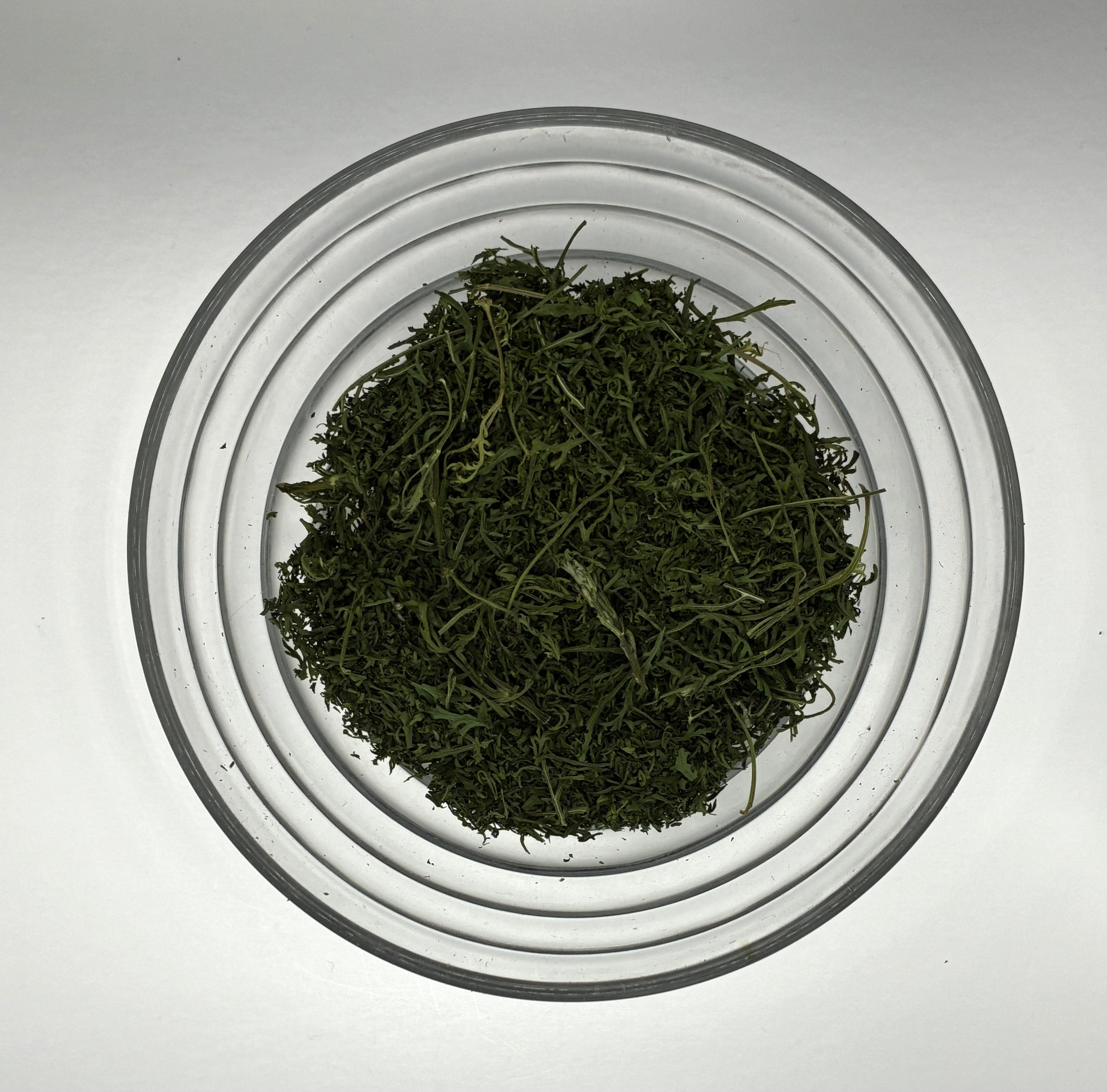 Sweet Wormwood (Artemisia annua) – Traditional Herb for Seasonal Support & Cleansing