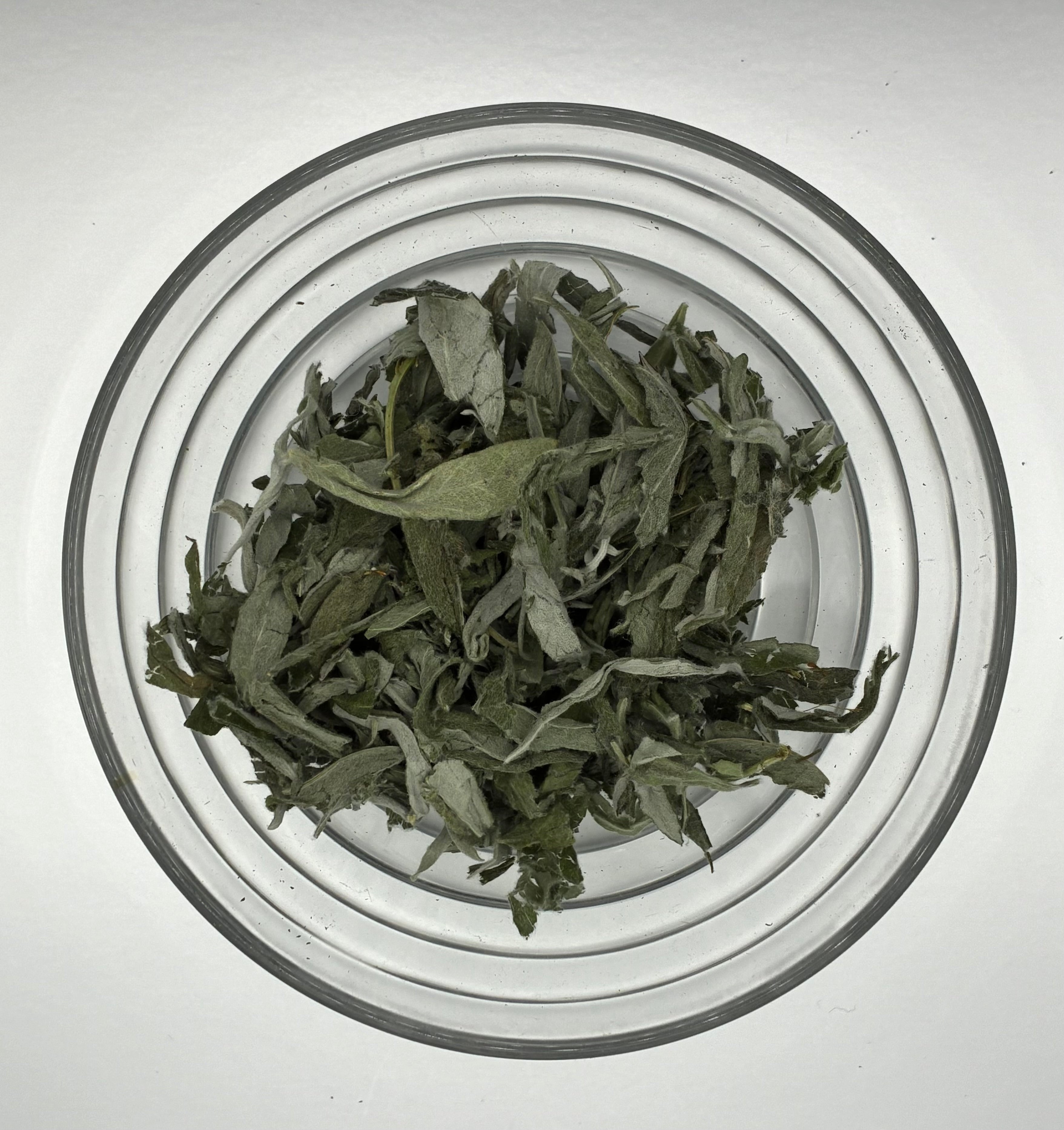 Sagebrush (Artemisia tridentata)   White Sage Alternative for Cleansing & Purification
